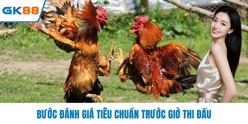Bước đánh giá tiêu chuẩn trước giờ thi đấu