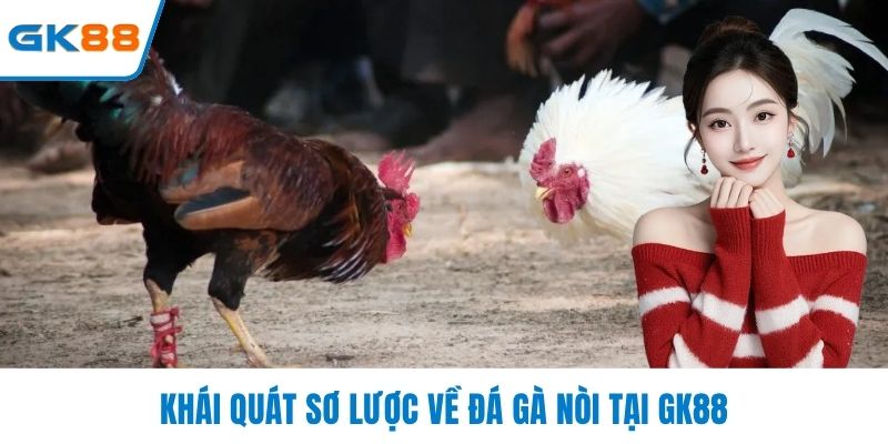 Khái quát sơ lược về đá gà nòi tại GK88