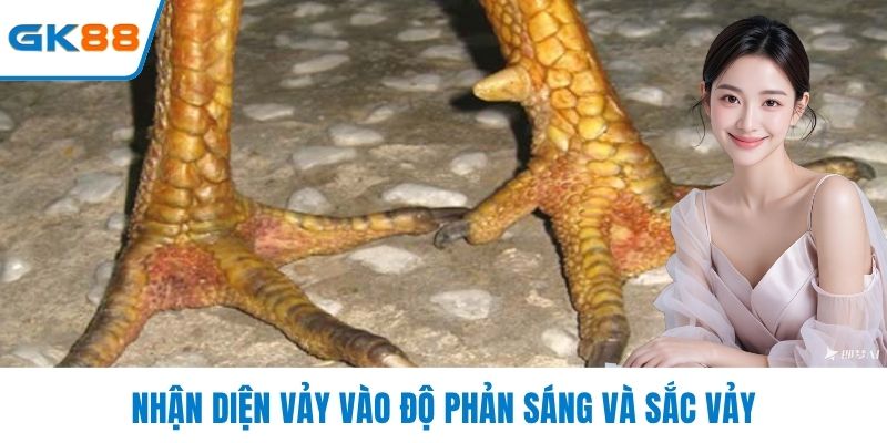 Nhận diện vảy vào độ phản sáng và sắc vảy