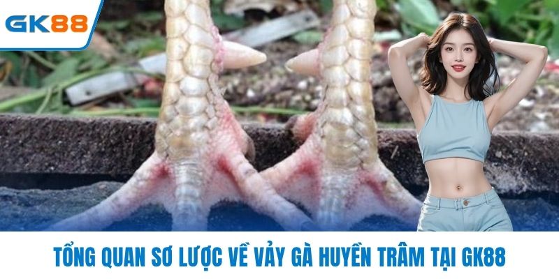 Tổng quan sơ lược về vảy gà huyền trâm tại GK88